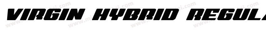 Virgin Hybrid Regular字体转换